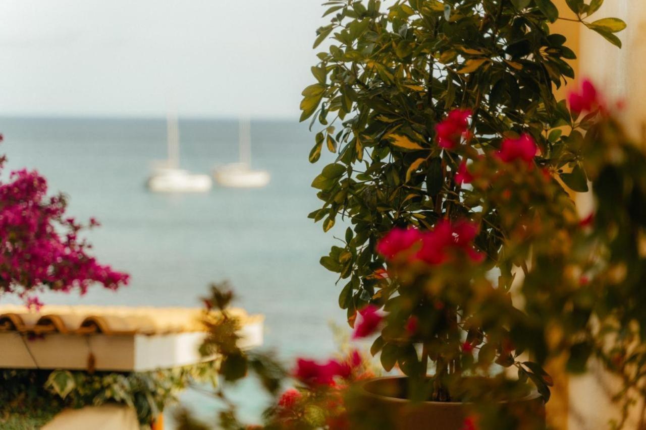 Ionion Beach Resort بارغا المظهر الخارجي الصورة