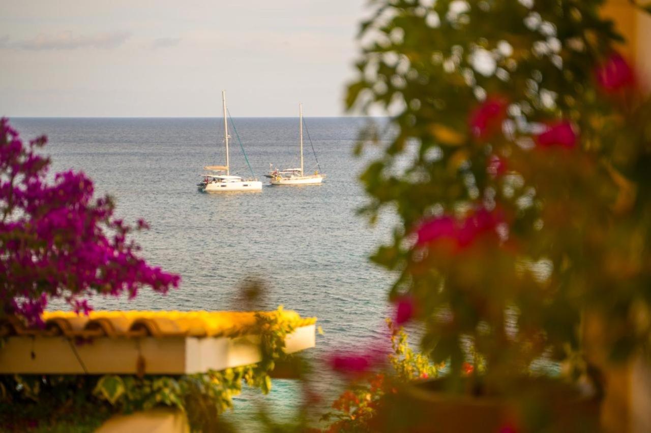 Ionion Beach Resort بارغا المظهر الخارجي الصورة